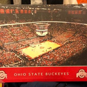 Wall Art Ohio State Buckeyes 23.5"W x 17.5"H x 1 3/8" Artissimo CL 285232255